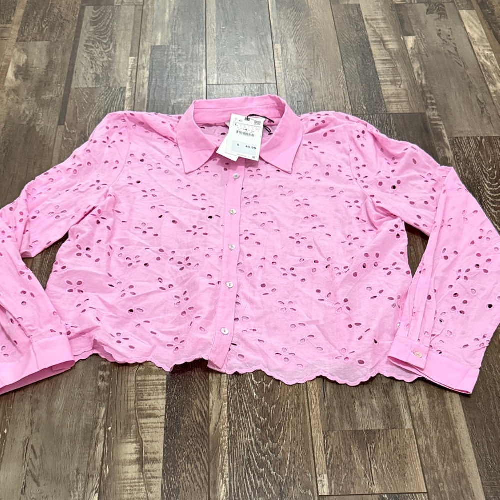 Zara Pink Eyelet Button-Down Shirt
